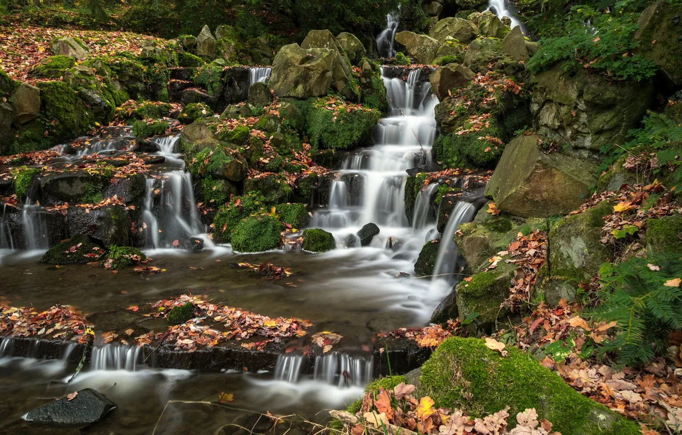 Photo wallpaper autumn, leaves, stream, waterfall, Germany, cascade