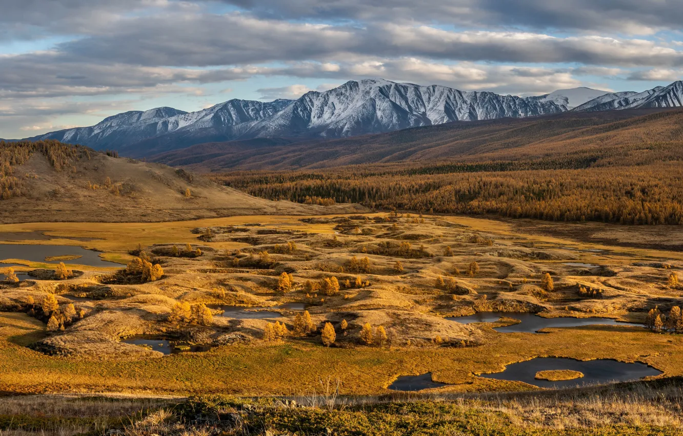 Photo wallpaper autumn, forest, mountains, lake