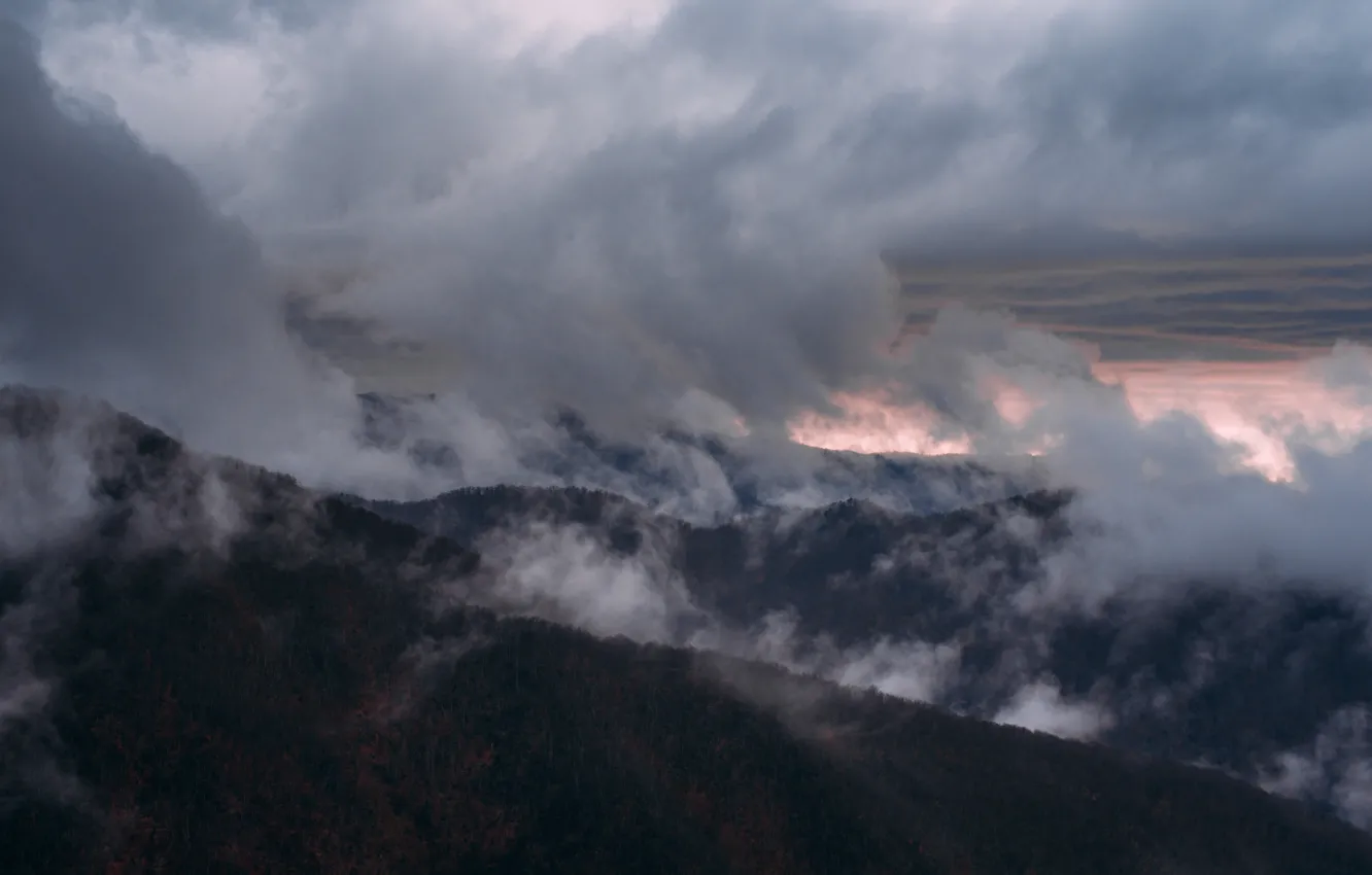 Photo wallpaper forest, the sky, trees, sunset, mountains, clouds, nature, fog