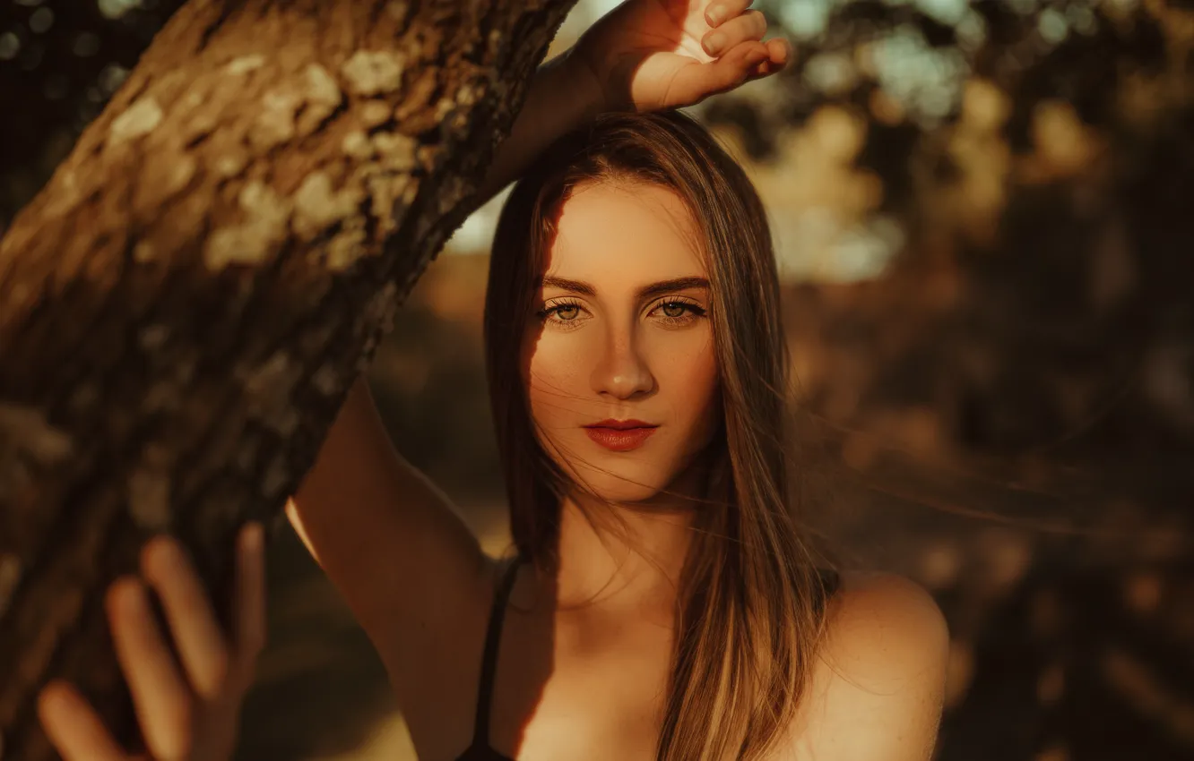 Photo wallpaper look, the sun, trees, model, portrait, hands, makeup, hairstyle