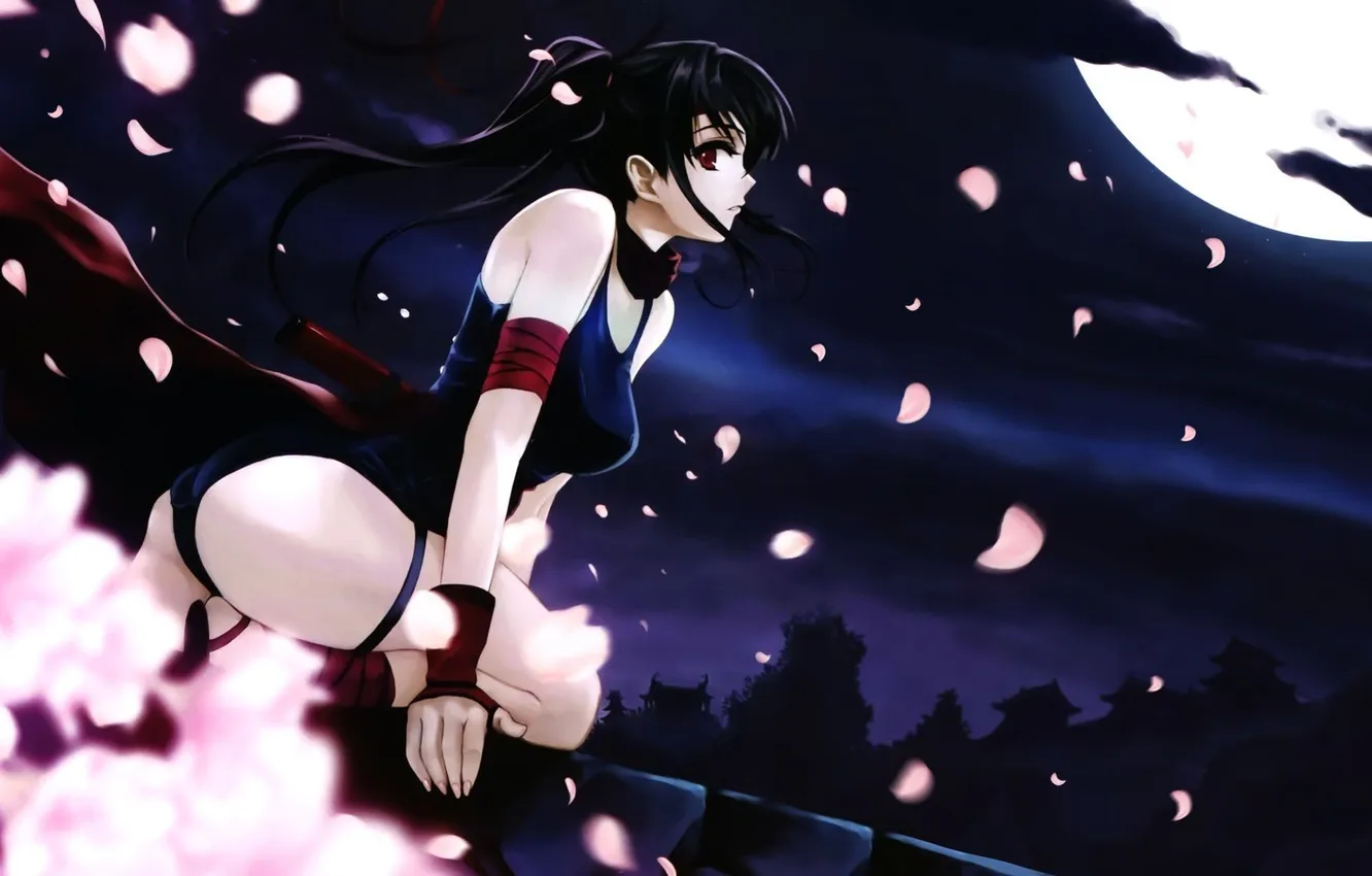 Photo wallpaper look, girl, night, the moon, Sakura