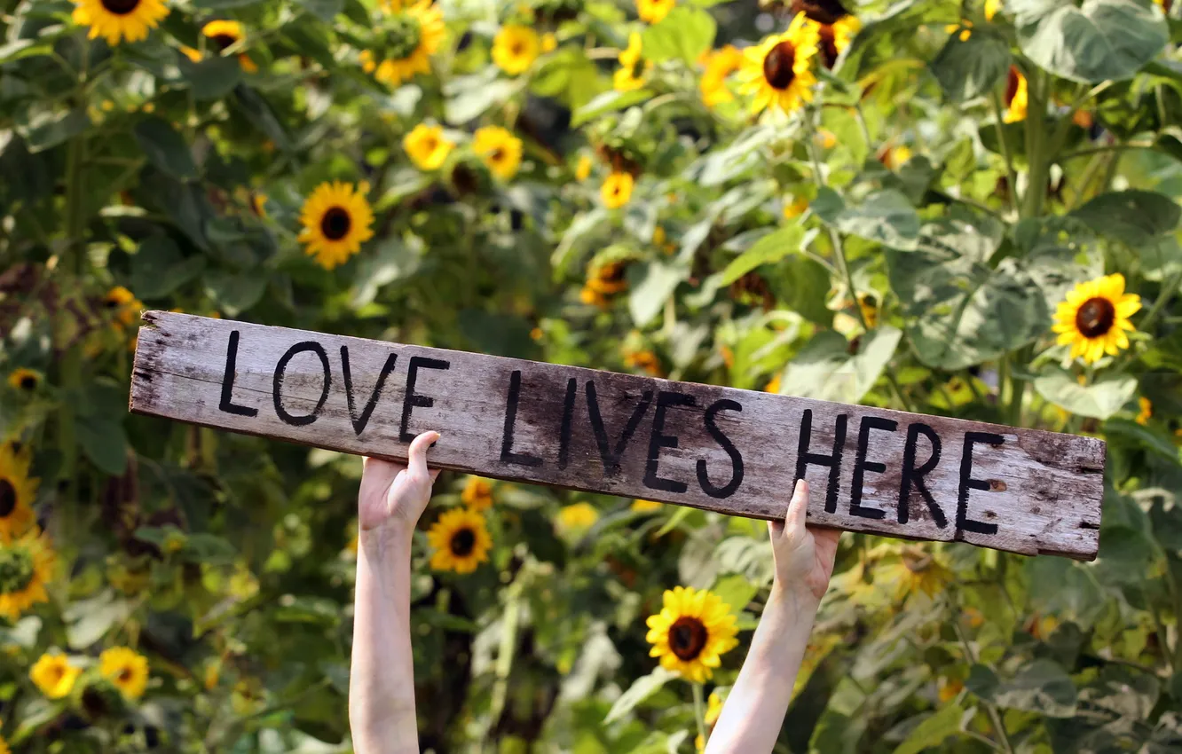 Photo wallpaper background, mood, the inscription, love lives here