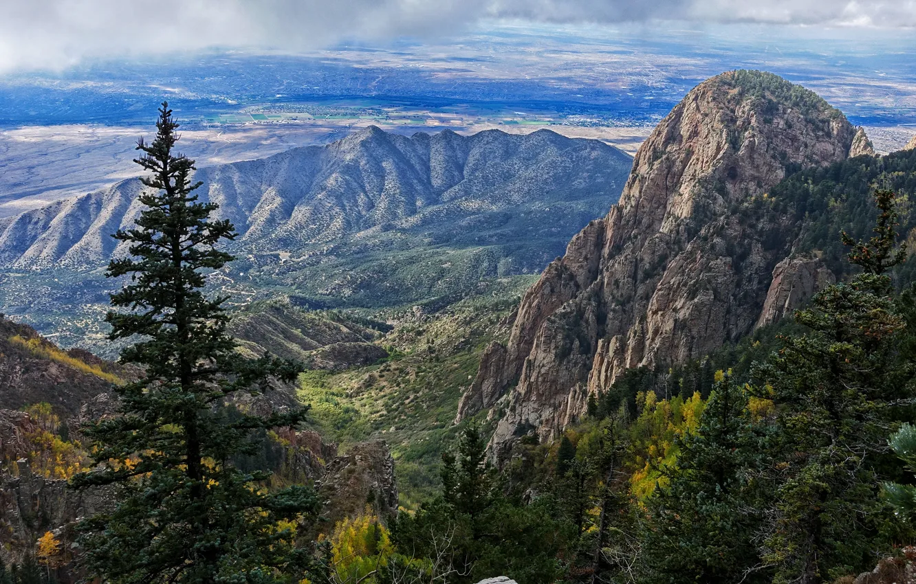 Photo wallpaper field, trees, mountains, rocks, valley, panorama, USA, New Mexico