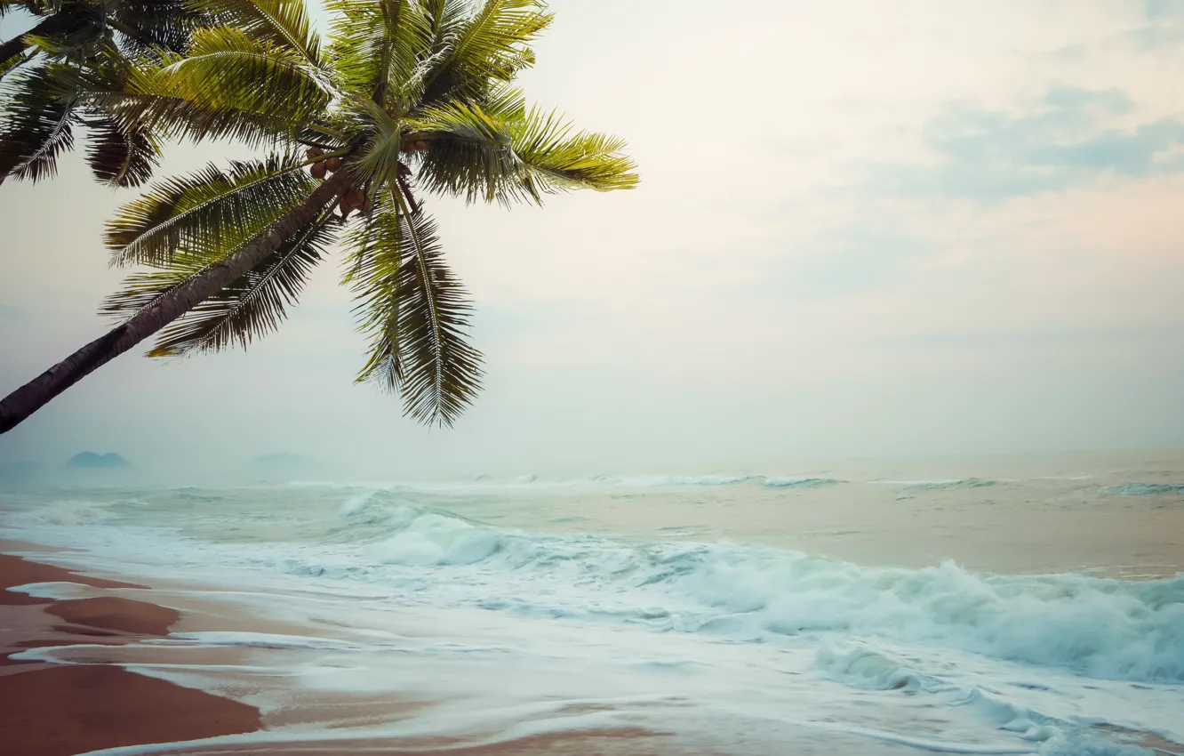 Photo wallpaper sand, sea, wave, beach, summer, the sky, palm trees, shore