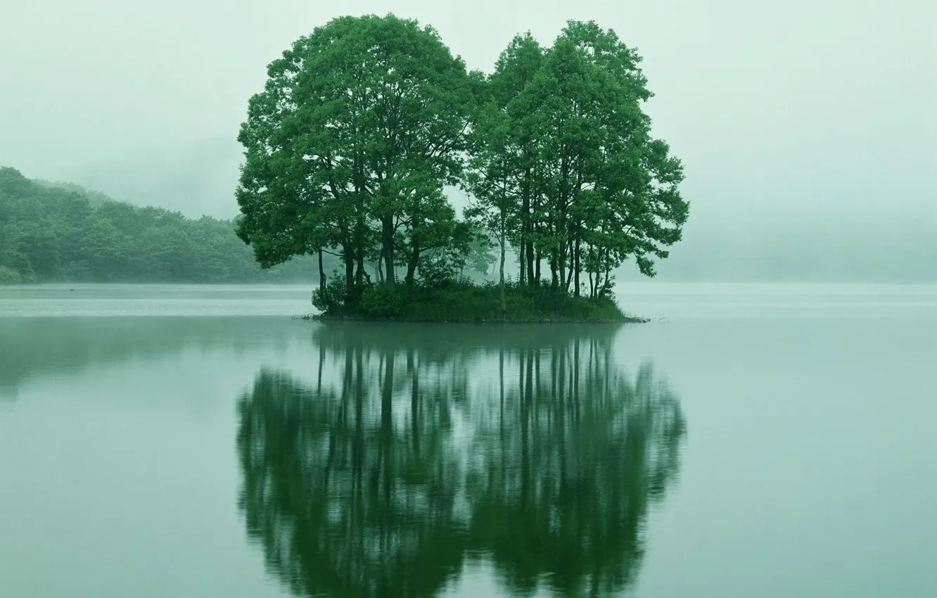Photo wallpaper trees, reflection, island