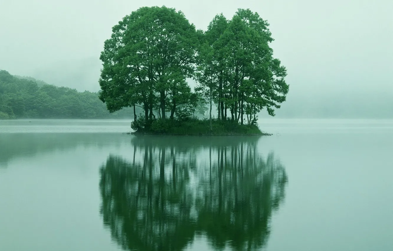 Photo wallpaper reflection, island, Trees