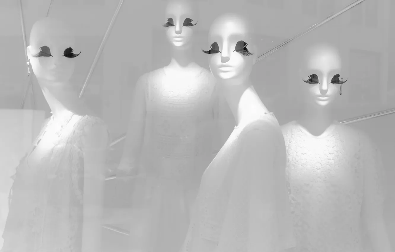 Photo wallpaper background, shadow, dummy