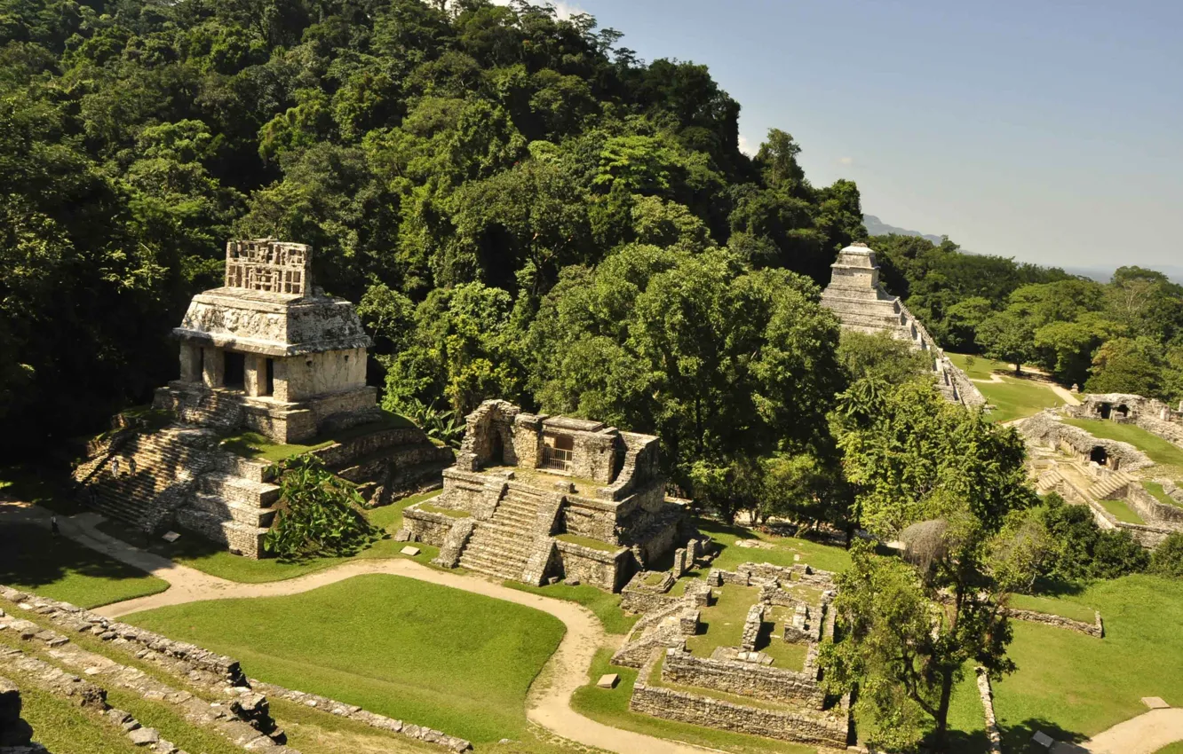 Photo wallpaper power, beauty, mystery, mystery, Mexico, legend, myth, view from the Sun Temple in Palenque