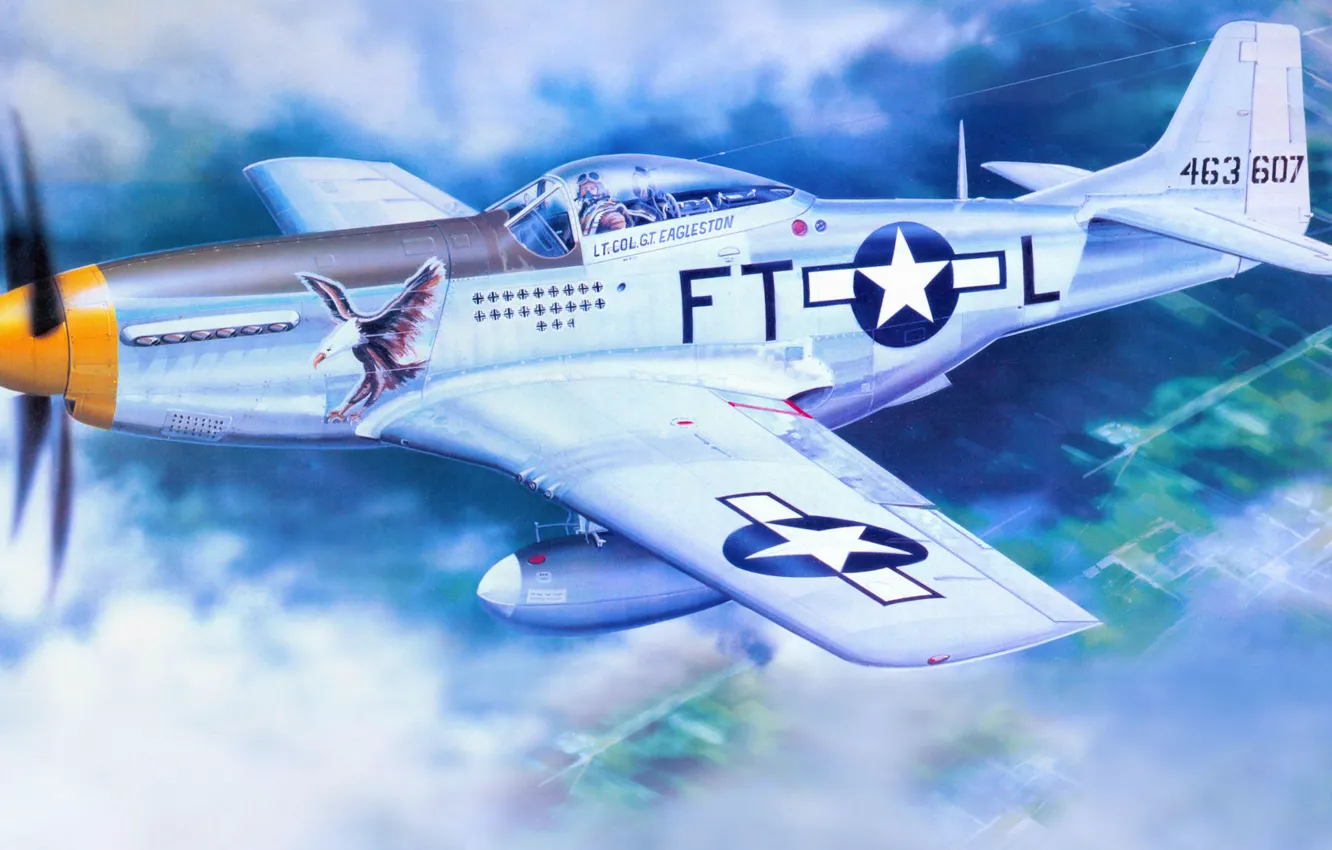 Photo wallpaper figure, Mustang, art, North American, P-51D