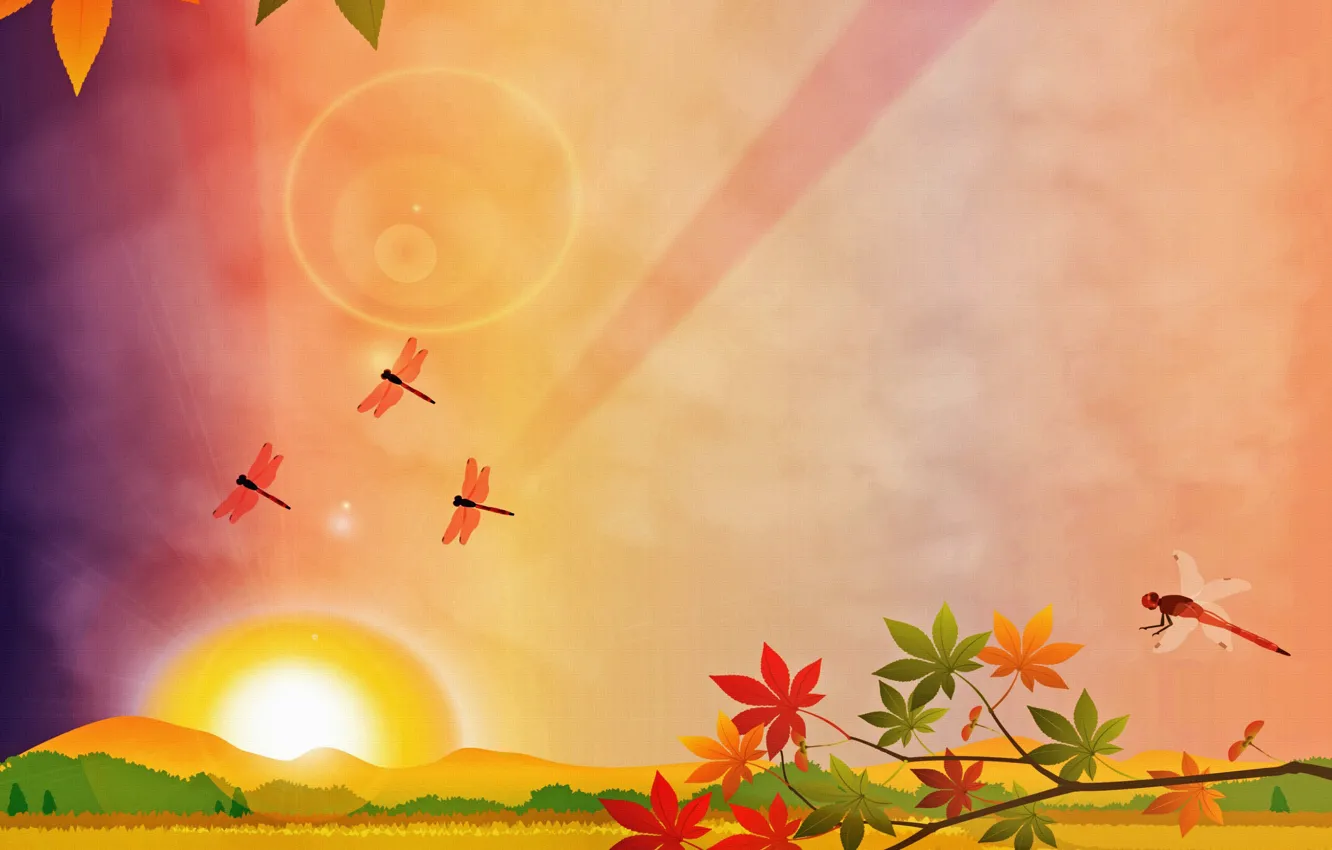 Photo wallpaper autumn, leaves, branches, the sun, dragonflies