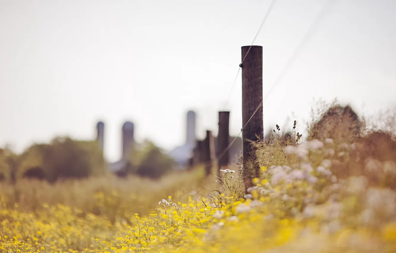 Photo wallpaper landscape, flowers, the fence