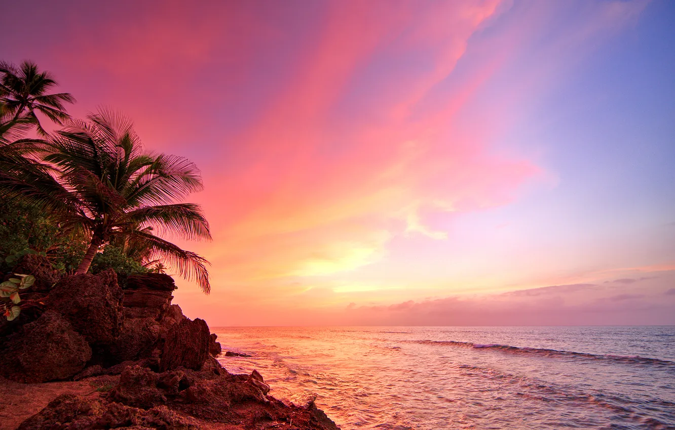 Photo wallpaper beach, ocean, sunset, palm, Puerto Rico, Corner
