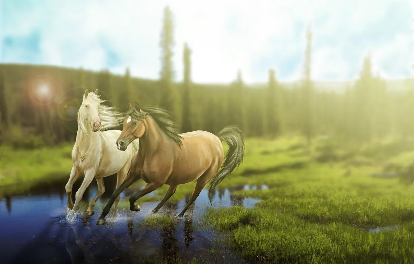 Photo wallpaper water, rays, trees, landscape, squirt, nature, animal, art