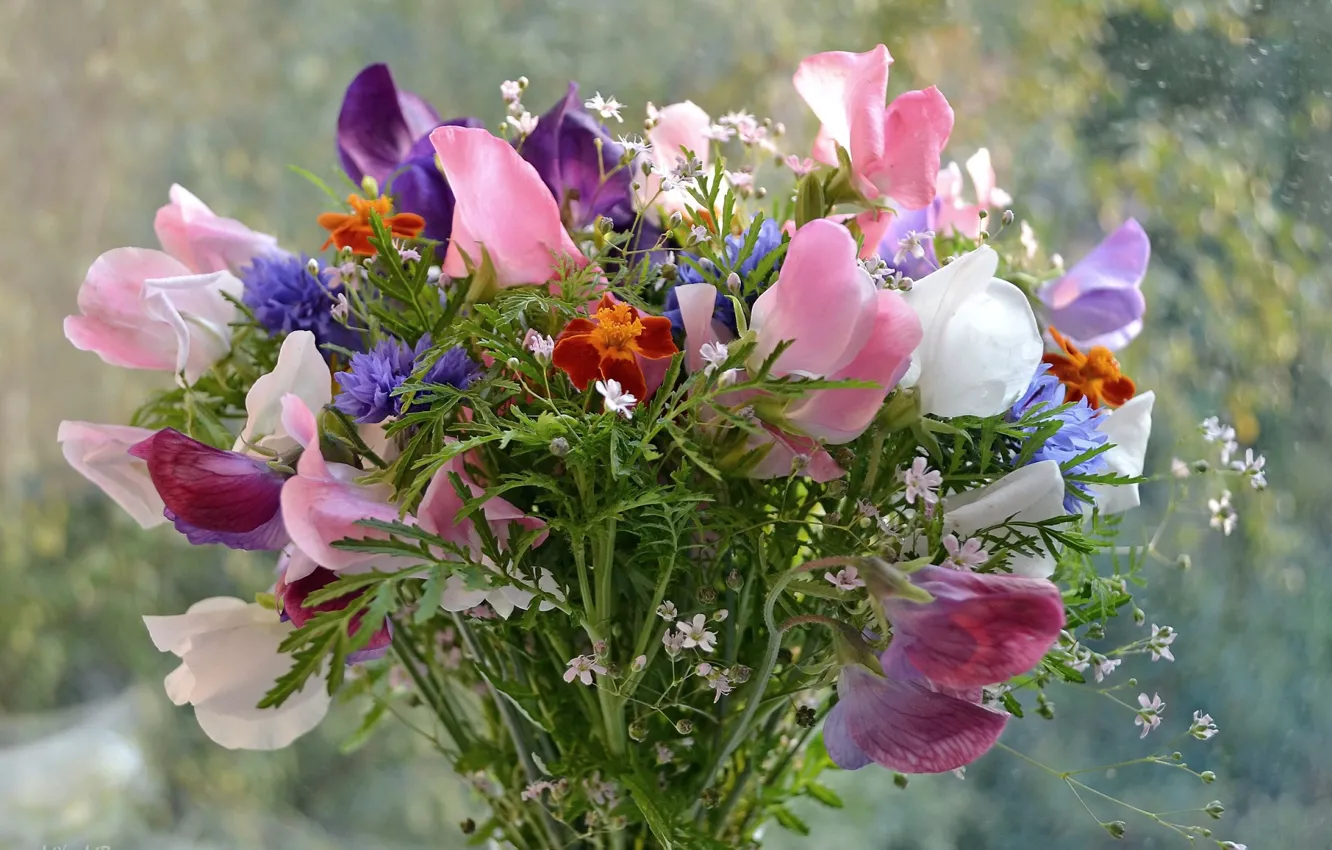 Photo wallpaper flowers, background, beauty, bouquet