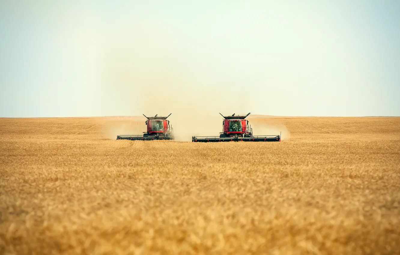 Photo wallpaper workers, working, combines, a few harvesters, swath, cutting, a pair of combines, Harvesters