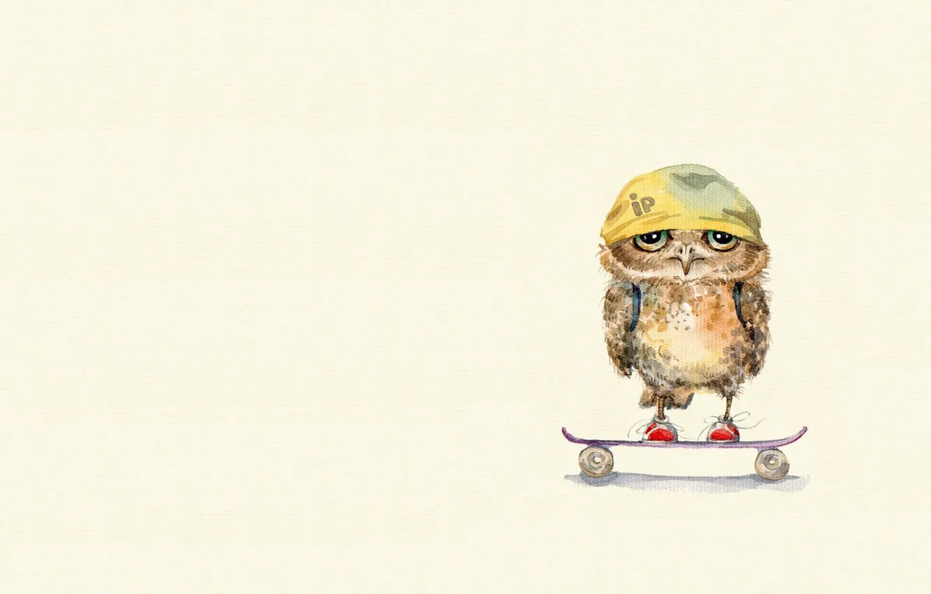 Photo wallpaper mood, owl, art, bandana, skateboard, children's, sovushka, kid