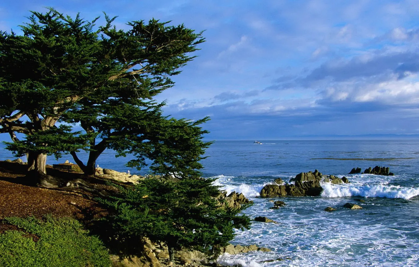 Photo wallpaper sea, the sky, clouds, trees, rocks, bench