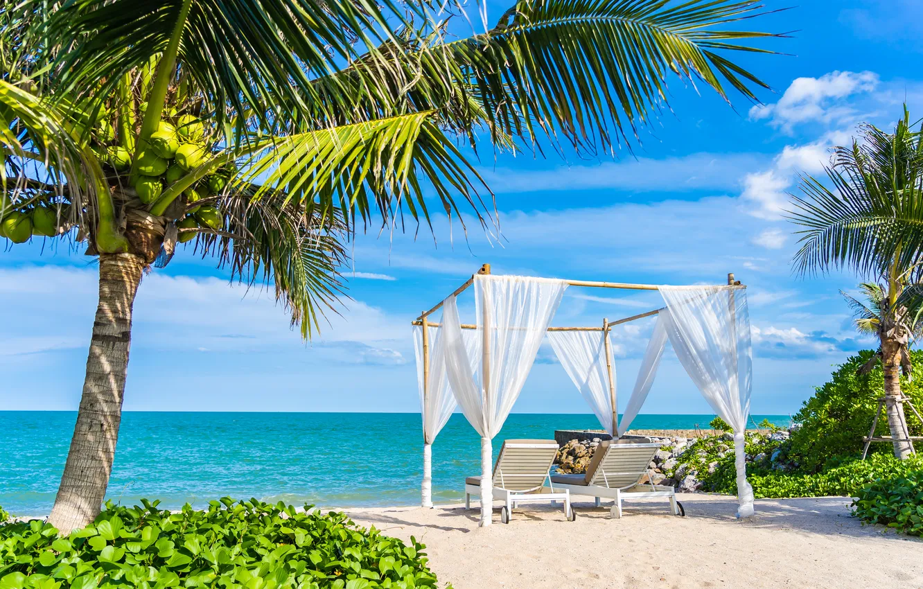 Photo wallpaper sand, sea, wave, beach, summer, the sky, palm trees, shore