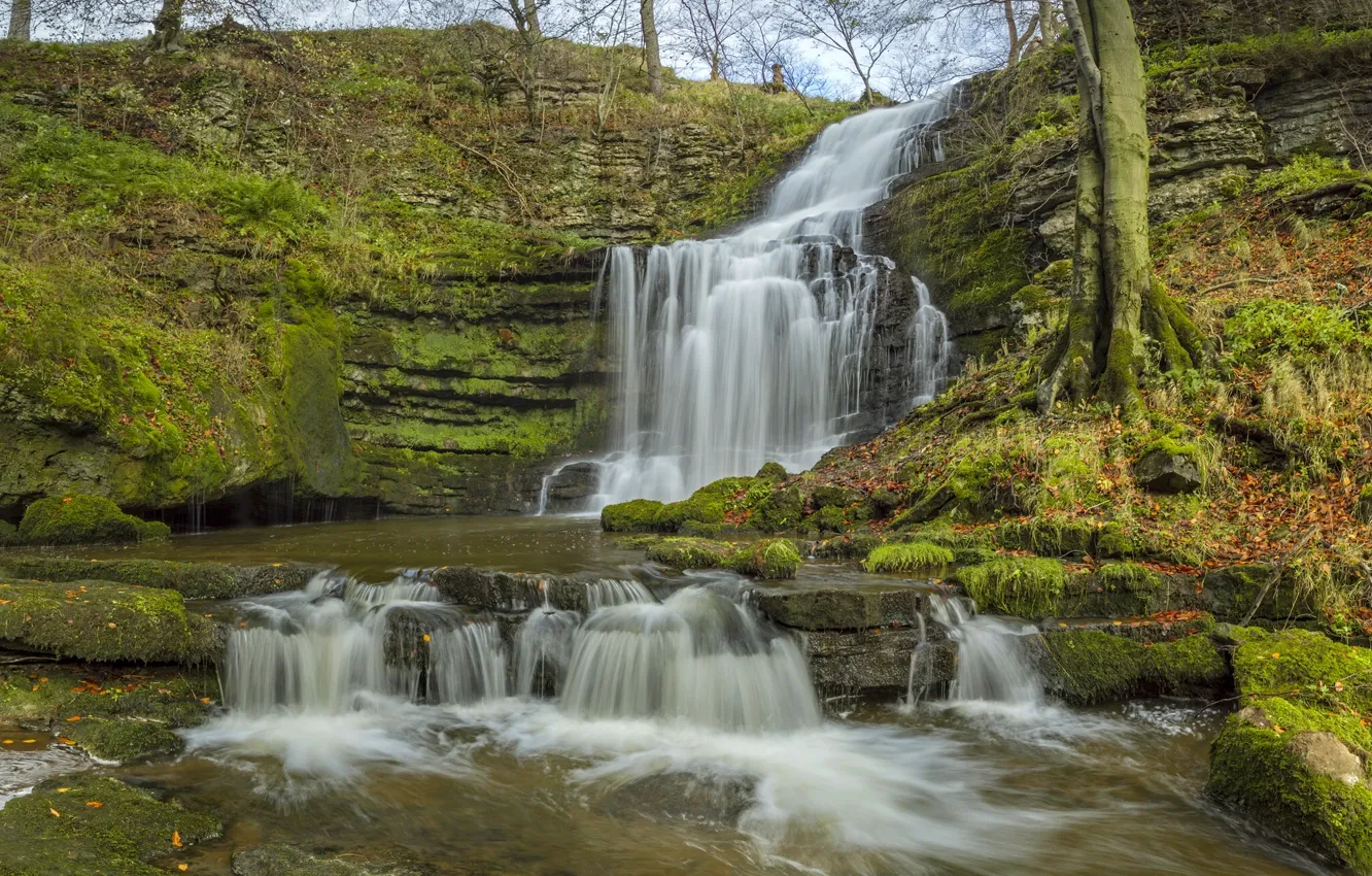 Photo wallpaper autumn, England, waterfall, cascade, England, North Yorkshire, Yorkshire Dales, North Yorkshire
