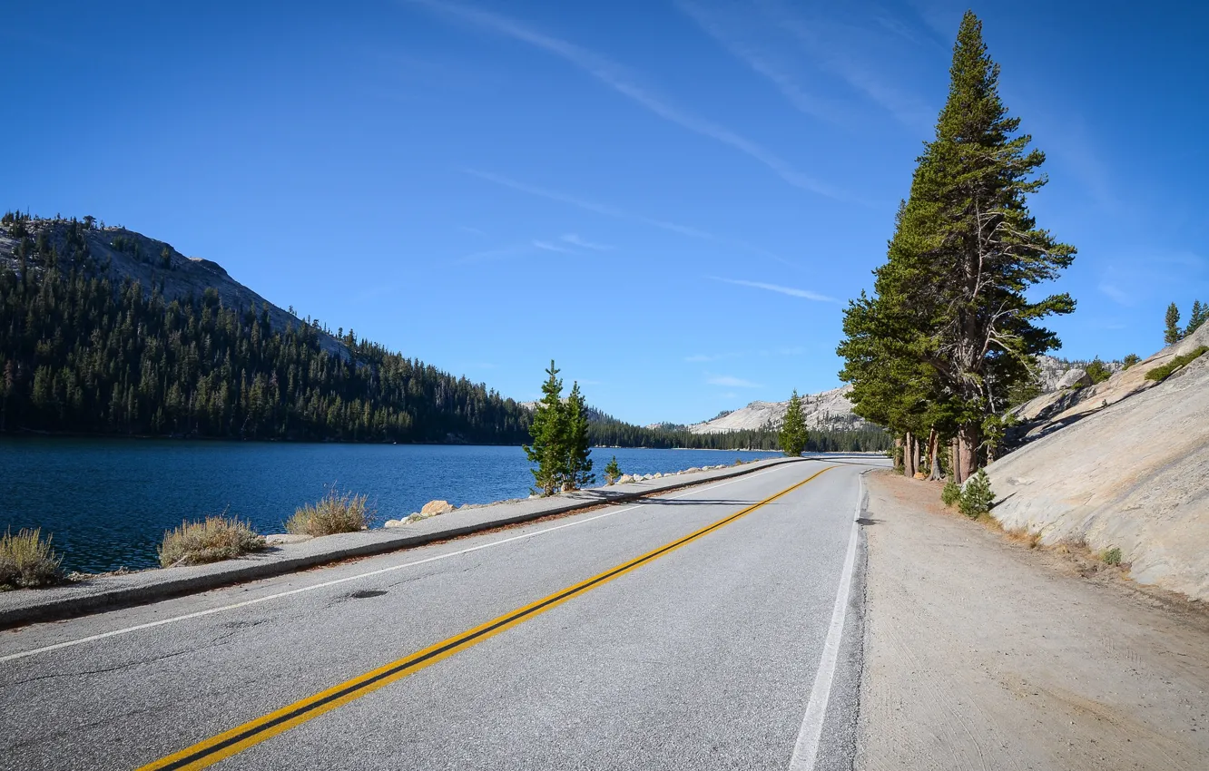 Photo wallpaper road, markup, CA, USA, California, Tenaya Lake, Yosemite National park