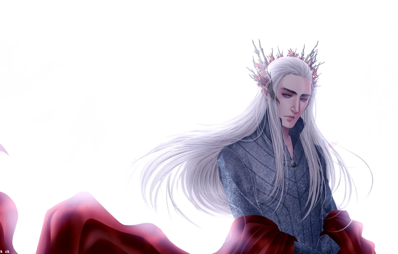 Photo wallpaper King of the elves, by jeraisa, cloak, crown, Thranduil, The hobbit, Thranduil