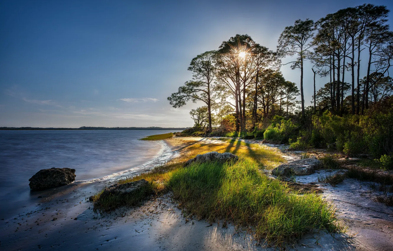 Photo wallpaper sand, the sun, trees, coast, morning
