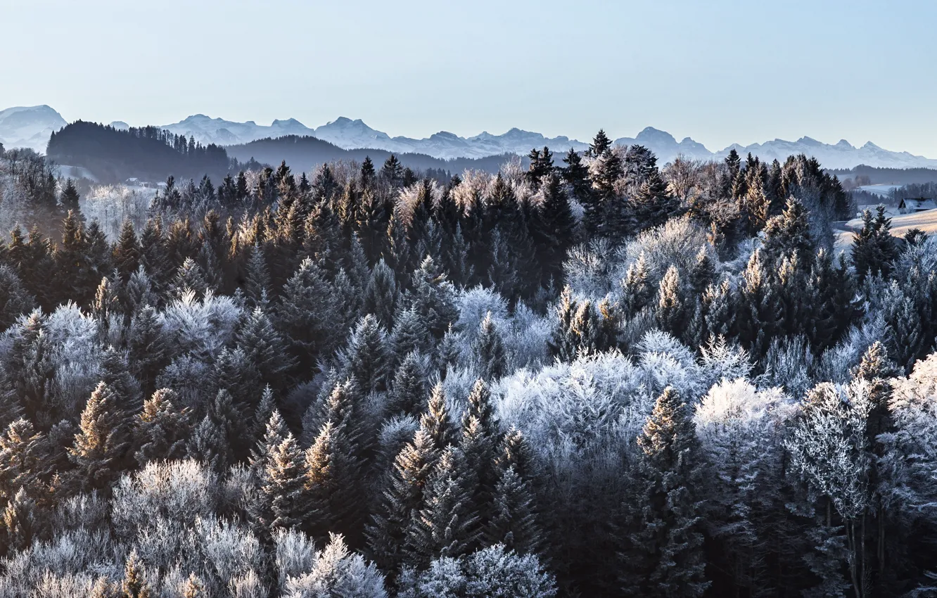 Photo wallpaper winter, forest, mountains