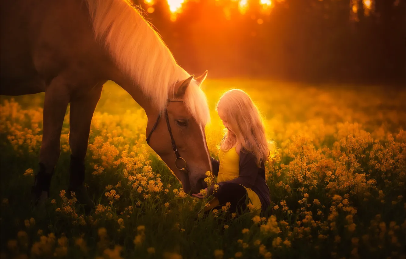 Photo wallpaper summer, horse, girl