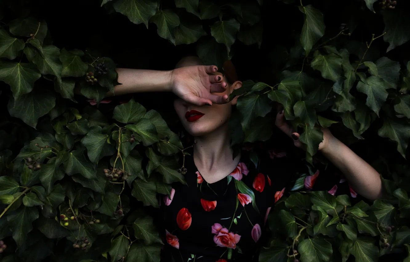 Photo wallpaper girl, face, foliage, hands