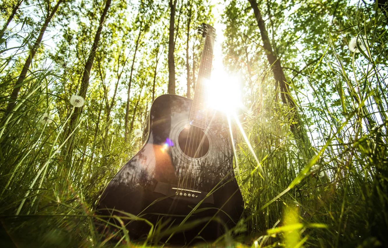 Photo wallpaper forest, summer, grass, the sun, rays, light, music, mood