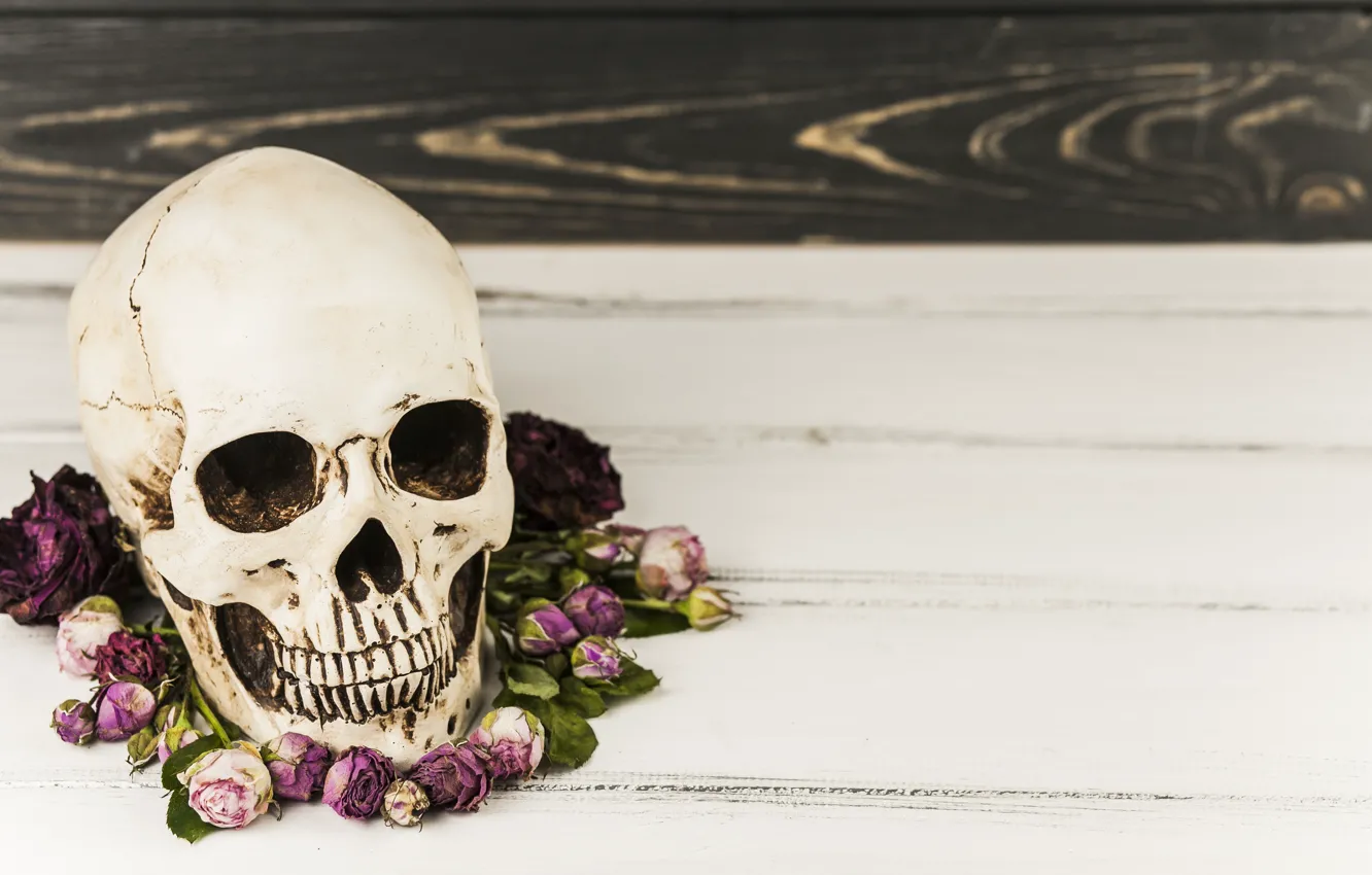 Photo wallpaper flowers, skull, Halloween, sake