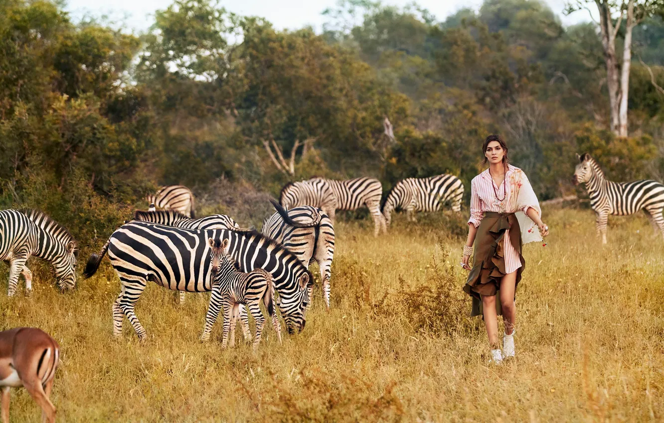 Photo wallpaper girl, nature, Africa, safari, zebra, Kriti Sanon