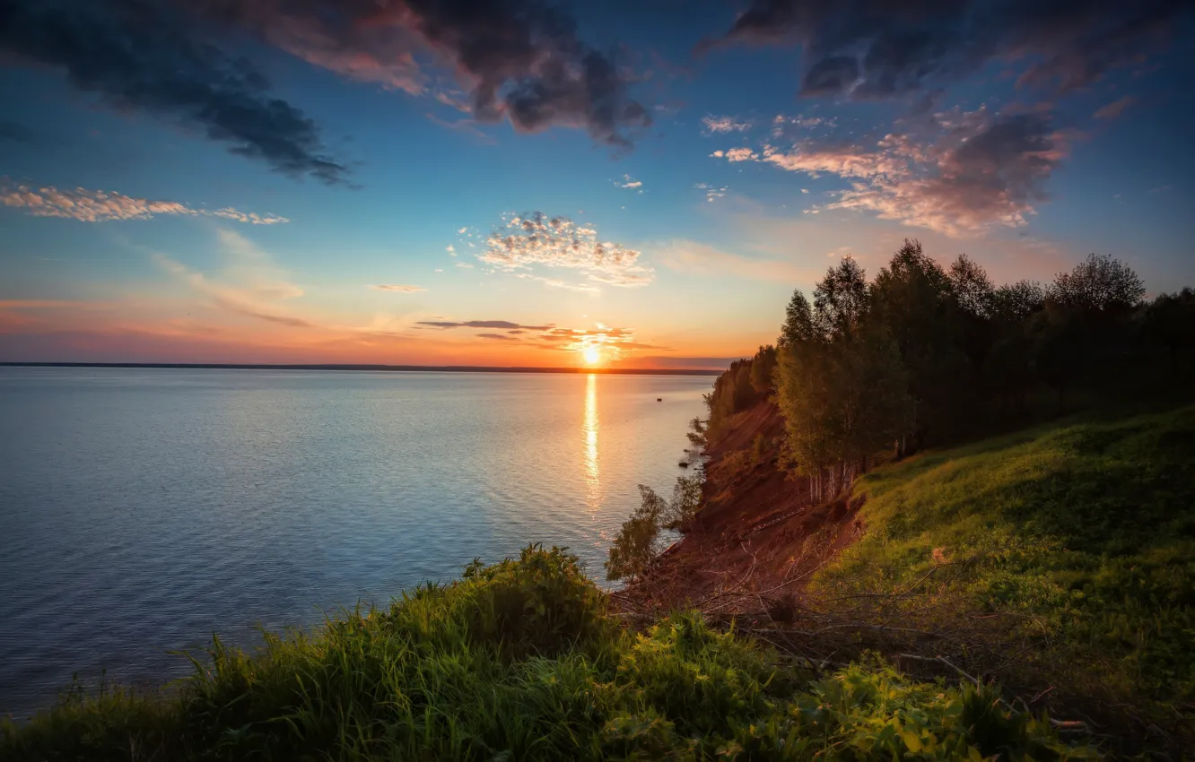 Photo wallpaper forest, the sky, grass, the sun, clouds, trees, sunset, blue