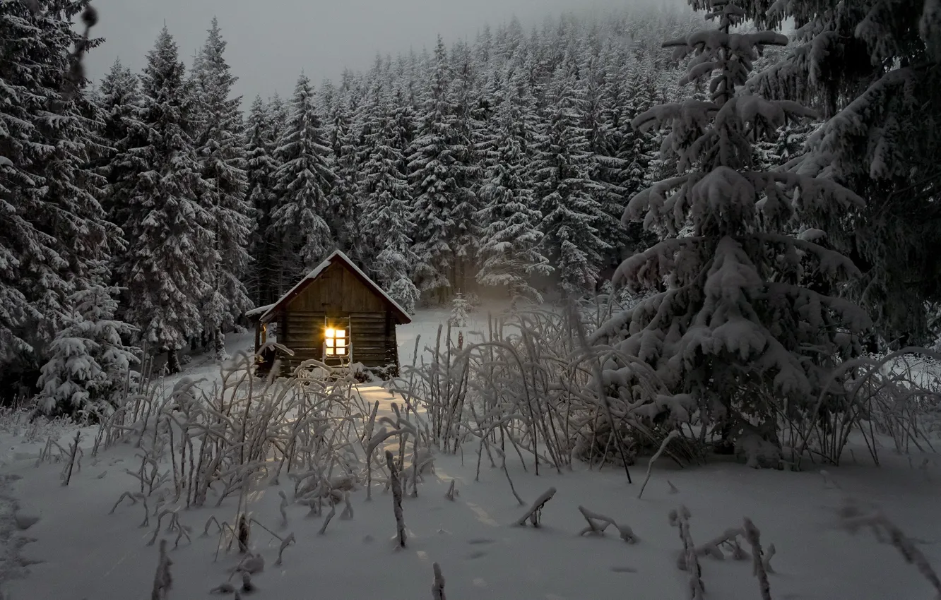 Photo wallpaper winter, forest, light, snow, trees, house, twilight