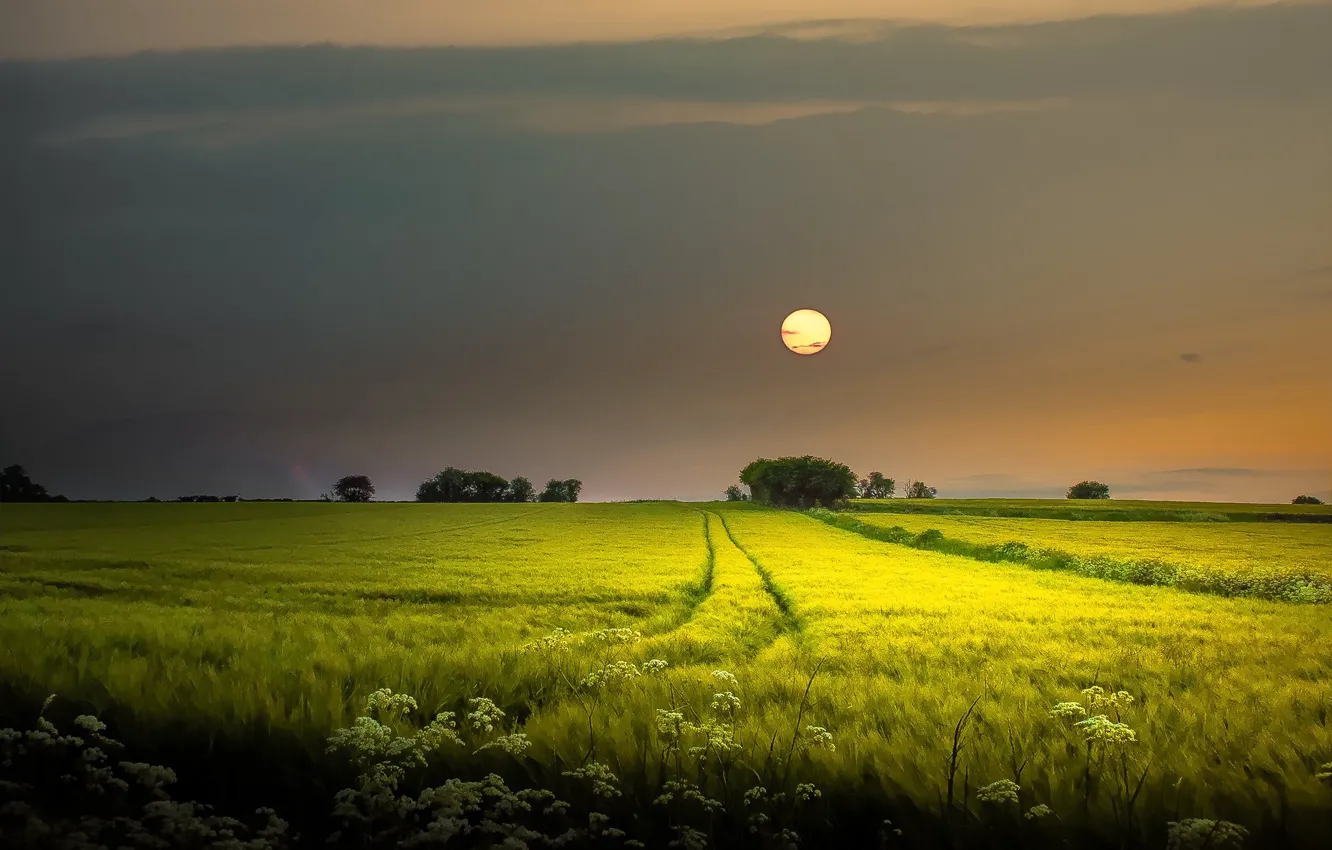 Photo wallpaper the sky, photo, the moon, glade