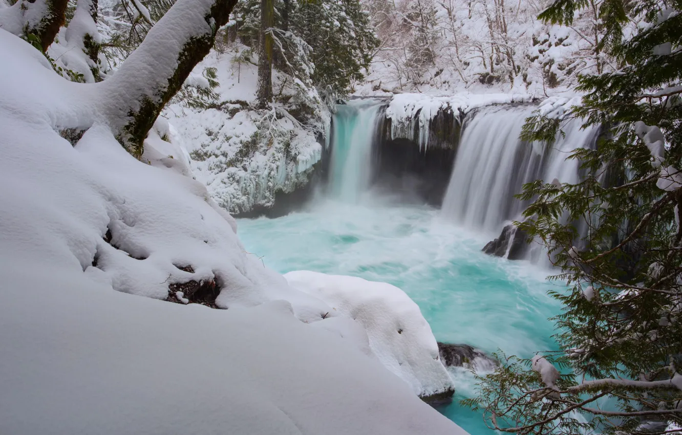 Photo wallpaper winter, forest, snow, trees, waterfall