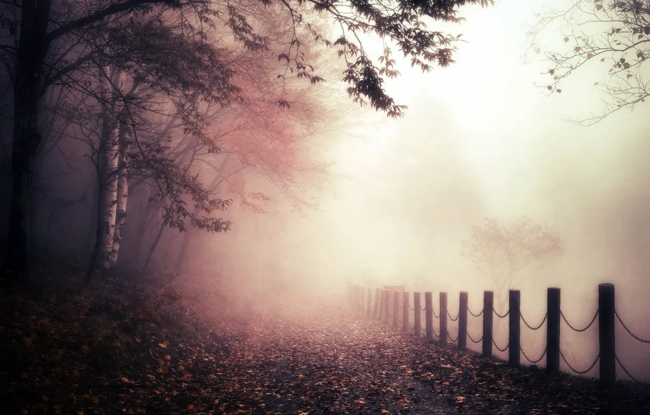 Photo wallpaper autumn, fog, the fence, morning