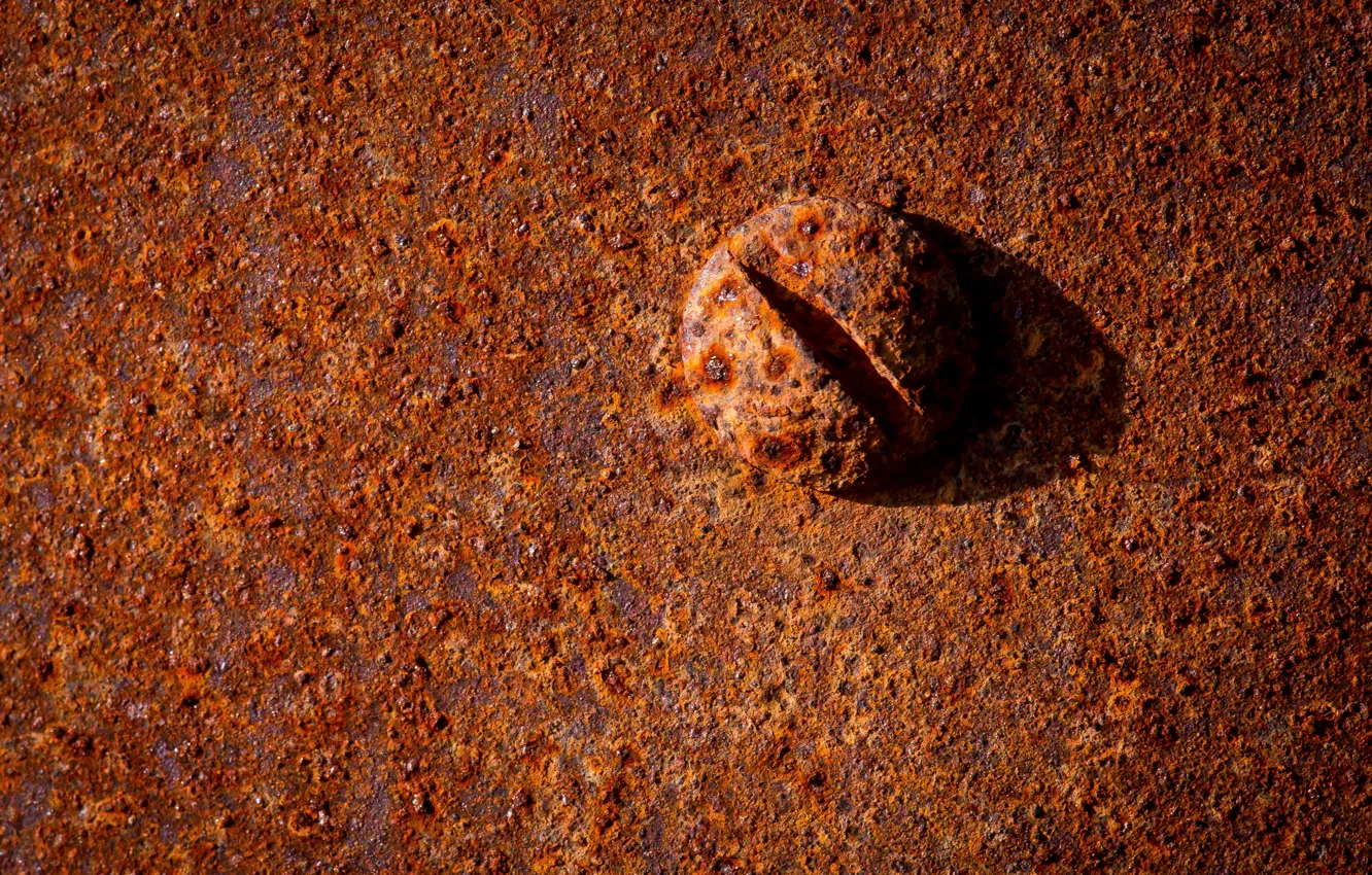 Photo wallpaper macro, metal, bolt, rust