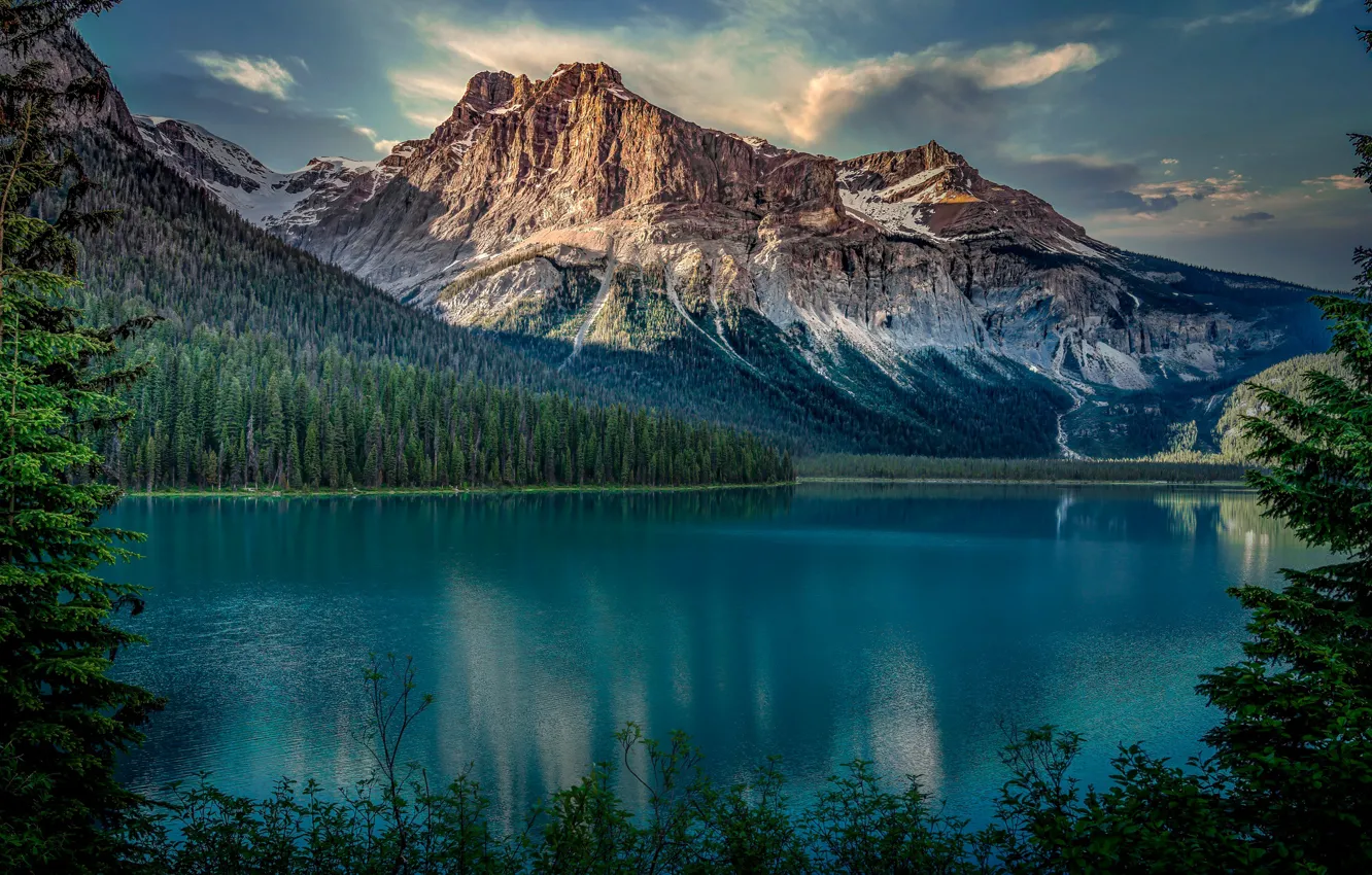 Photo wallpaper forest, mountains, lake, Canada, Canada, British Columbia, British Columbia, Yoho National Park