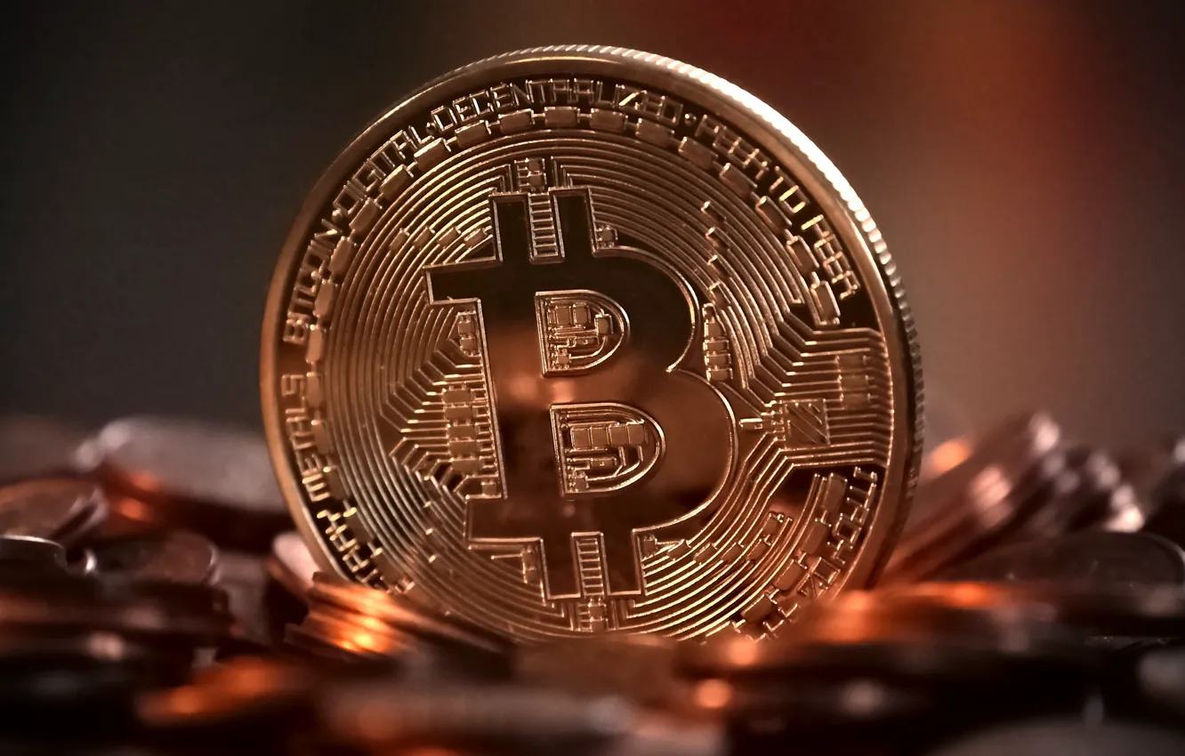 Photo wallpaper money, coin, bitcoin