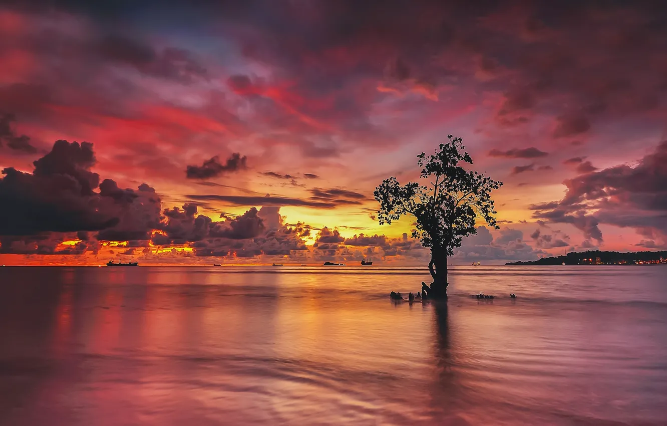 Photo wallpaper clouds, sunset, lake, reflection, tree, ships, mirror