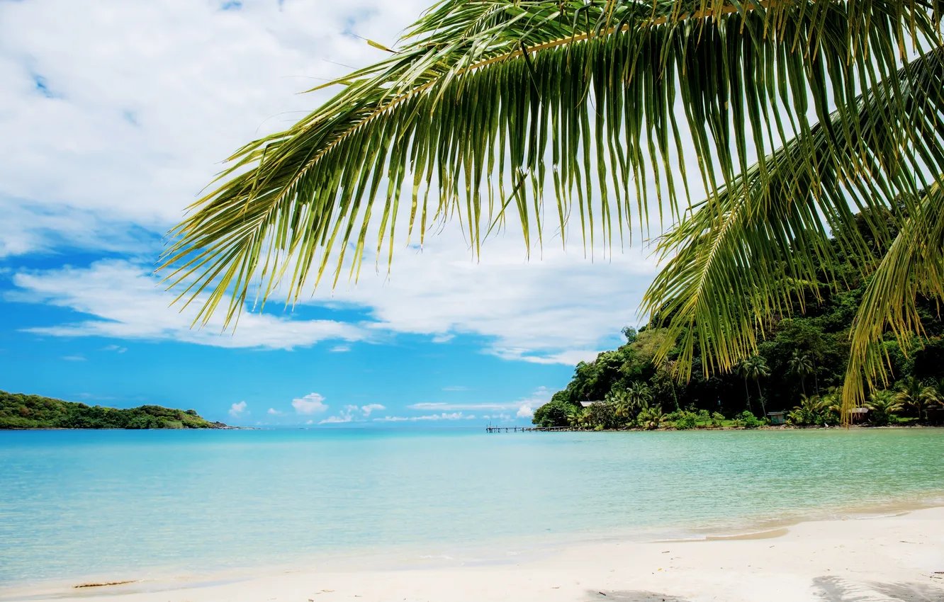 Photo wallpaper sand, sea, beach, summer, the sky, palm trees, summer, beach