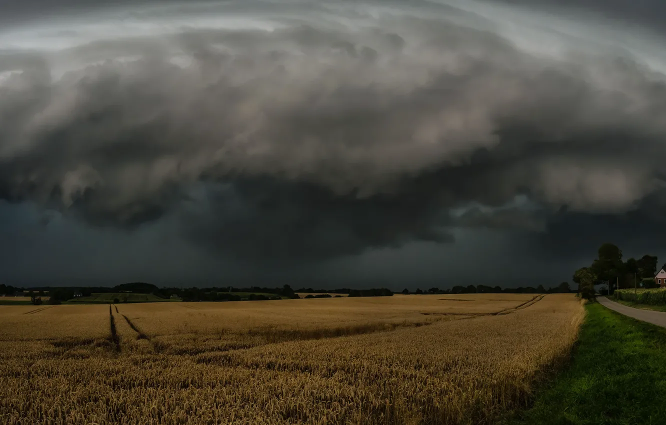 Photo wallpaper road, the storm, wheat, field, the sky, clouds, storm, village