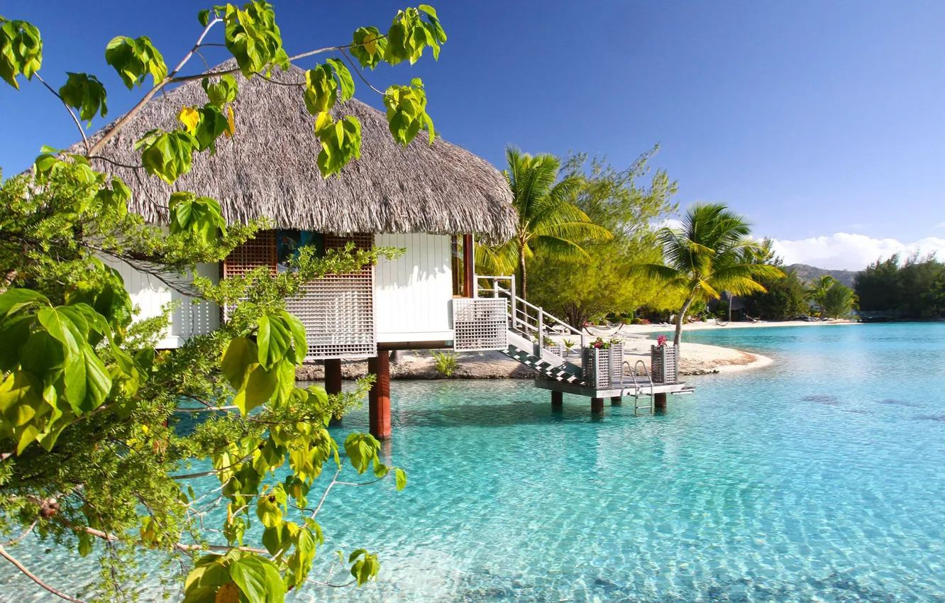 Photo wallpaper ocean, Bora-Bora, bungalow, Lagoon, clear aqua, Water Villa