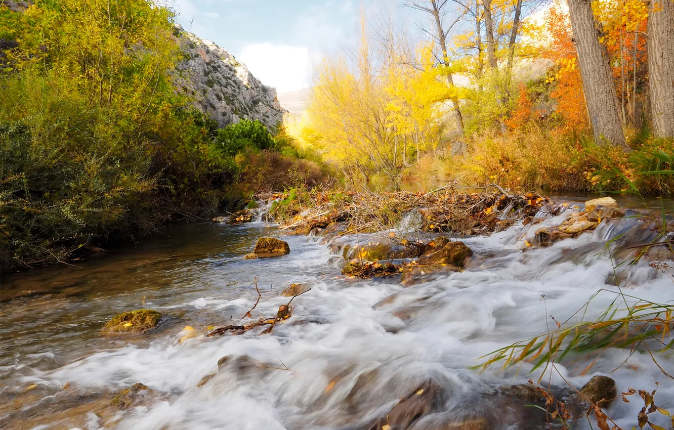 Photo wallpaper autumn, forest, trees, mountains, river, stones, stream