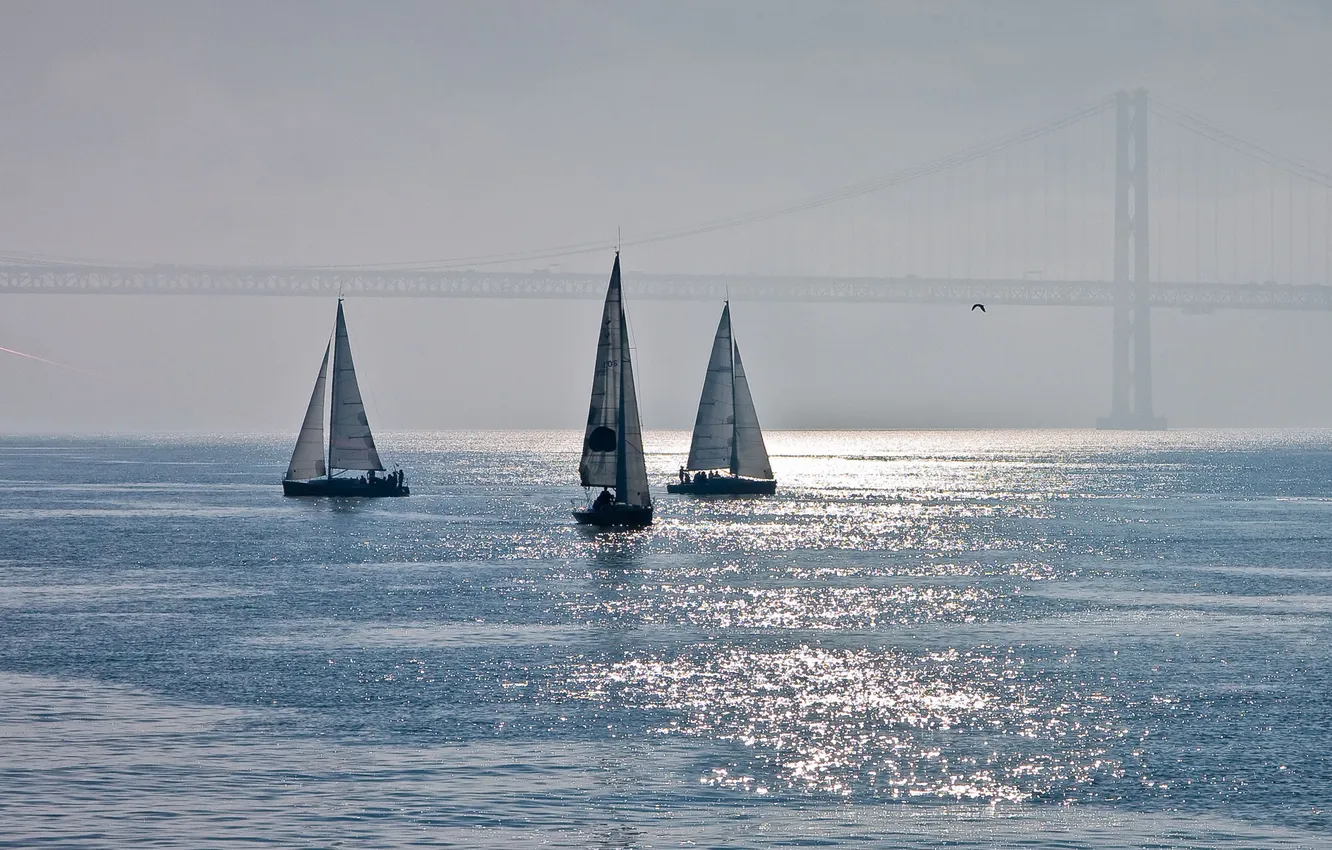 Photo wallpaper sea, bridge, sailboat, haze