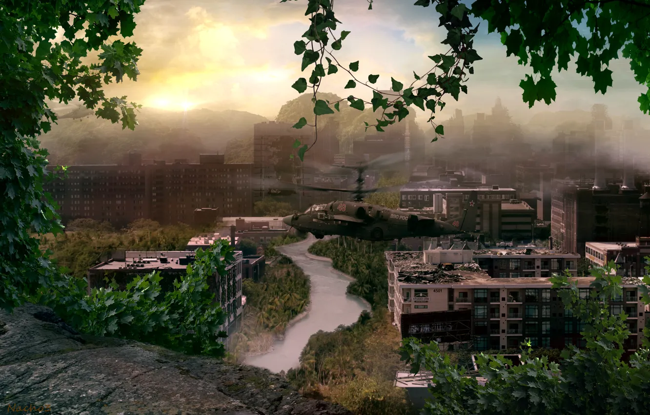 Photo wallpaper trees, the city, Apocalypse, helicopter