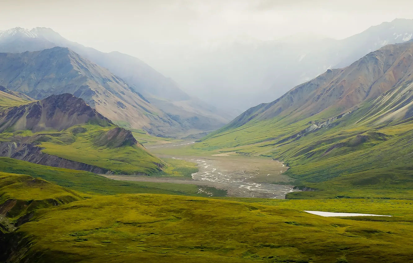 Photo wallpaper USA, Alaska, United States, United States of America, Green Hills of Home, Denali Park