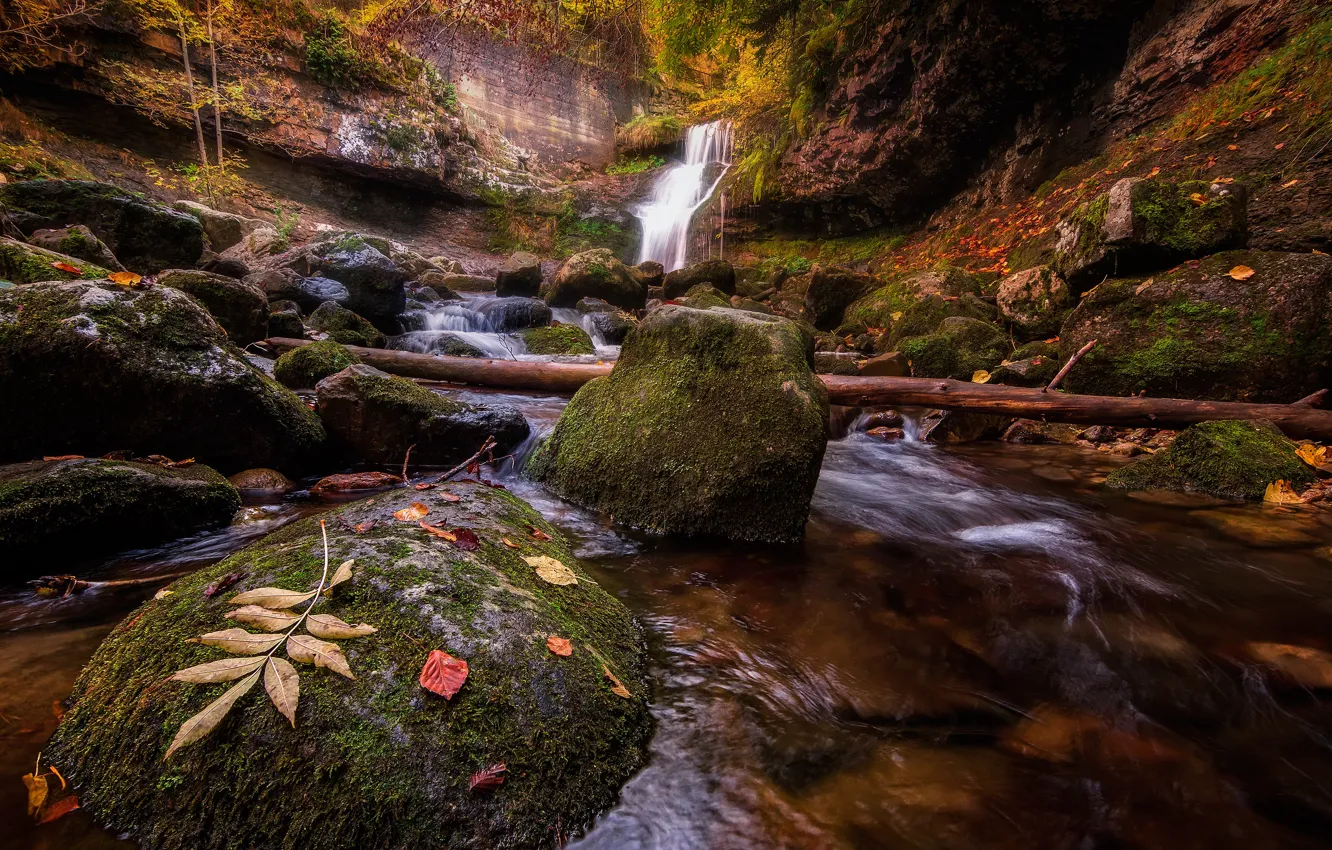 Photo wallpaper autumn, leaves, stream, stones, rocks, waterfall, stream, log