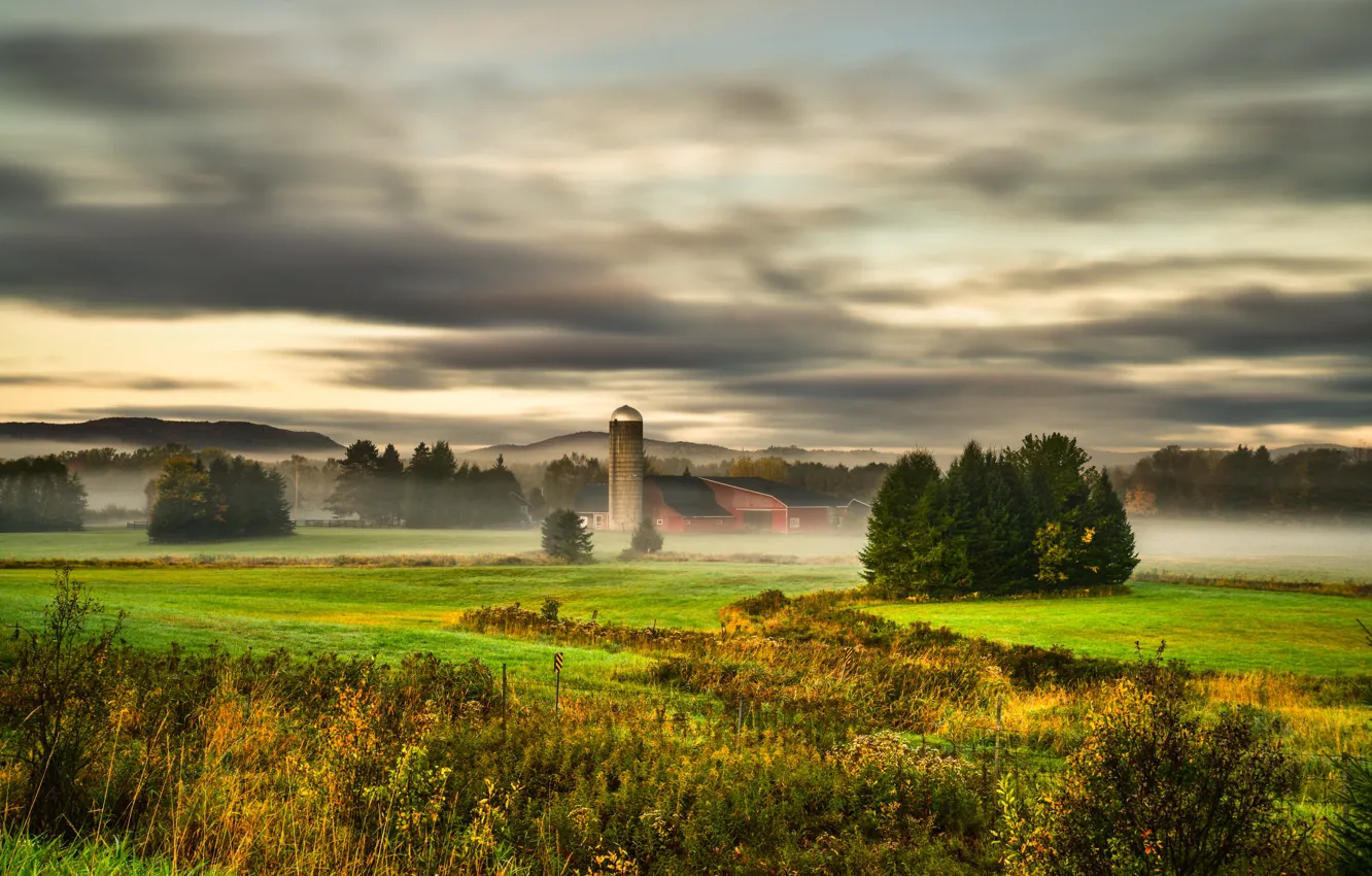 Photo wallpaper field, summer, fog